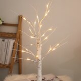 Venisymlis Velikonočna Dekoracija, (Toplo Bela) Časovnik Na Baterije Velikonočno Drevo, Svetleča Breza Z Led Lučkami, (22068730) | Shoptok.si