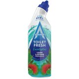 Astonish Gel čistač sanitarija Eukaliptus 750ml | Eponuda.com