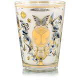 Baobab Collection My First Baobab Tomorrowland mirisna svijeća 3000 g | shoptok.hr