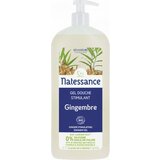 Natessance Gel za prhanje ingver Cene