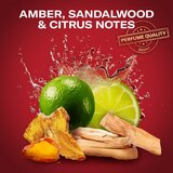 Old Spice Whitewater Sports Fan darilni set za moške | Shoptok.si