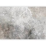 Artgeist Fototapeta Clear Branching, 100x70cm | Shoptok.si