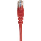Intellinet 737029 RJ45 omrežni kabel\, Patch kabel CAT 6a S/FTP 0.25 m rdeča enojna zaščita\, skupna zaščita\, brez halogena 1 kos, (20530675) Cene