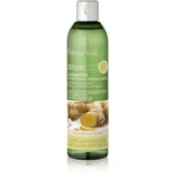 Zenzero čistilni šampon za krepitev las 250 ml