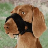 Trixie Traka za njušku | ePonuda.com