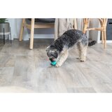 Trixie Igrača Dentafun žoga naravna guma mintfresh 5 cm | Shoptok.si