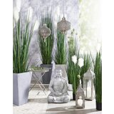 Ambia Home OKRASNA TRAVA | Shoptok.si
