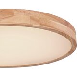 Globo 41745-48 - LED prigušiva plafonska svetiljka RAINER LED/48W/230V + DO | Eponuda.com