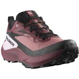 Salomon genesis gtx patike ženske | ePonuda.com