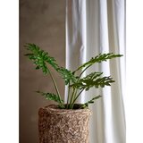 Bloomingville Umetna rastlina (višina 84 cm) Philodendron – | Shoptok.si