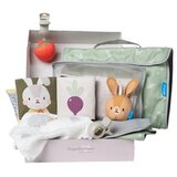  Taf Toys outdoors kit za kolica 22114113 Cene