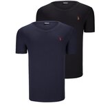 Dewberry DUAL SET T8568 V-NECK MENS T-SHIRT-BLACK-NAVY BLUE Cijene