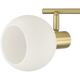 Brilliant Spot svetiljka CONY 2xE14/20W/230V mesing | Eponuda.com