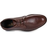Carlington Polškornji LOUAN Kostanjeva | Shoptok.si
