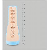 Fleshlight Masturbator Fleshjack Boys - Reno Gold Golden Boy | Shoptok.si