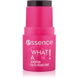 Essence WHAT A TINT! večnamensko ličilo za ustnice in lica odtenek 10 Raspberry Vibes 5 g Cene