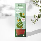  Olovke sa sjemenkama Sprout Ljubav koja raste (8 komada) Slike