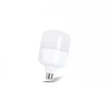 LED SIJALICA T-30 30W E27 6400K