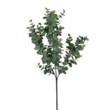  Cvet EUCALYPTUS 65cm 914117 - Green - EDL cene