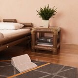 vidaXL Nočna mizica 40x40x40 cm bambus temno rjave barve, (20712658) | Shoptok.si