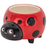 Sass & Belle Keramičen okrasni cvetlični lonec Ladybird Mini – Cene