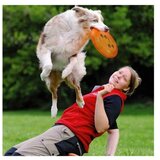 Trixie Frizbi za pse Plavi | ePonuda.com