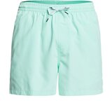 Quiksilver Everyday Volley 15 Boardshorts beach glass Cene