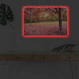 Wallity Slika sa LED osvetljenjem 4570DHDACT-041, 45x70 cm | ePonuda.com