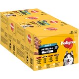 Pedigree Adult Fresh Pouch Protein Plus u želeu - 48 x 85 g (4 varijante) | shoptok.hr