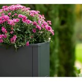WESTMANN Talus L | Metalna pravokutna žardinjera | 130 L | Antracit - BRANDED IN GERMANY | shoptok.hr