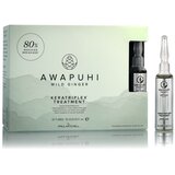 Paul Mitchell Awapuhi Wild Ginger Keratriplex Tretman 10 x 10 ml | shoptok.hr