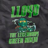Lego Ninjago vreća sa uzicama: Lojd | ePonuda.com