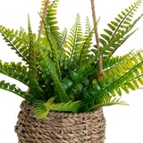 Casa Selección Umjetna paprat (visina 25 cm) – | shoptok.hr