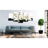  Slika - Lilies and zen stones 100x50 | shoptok.hr