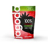 Lyocake Liofilizovana jagoda u prahu Lyocake, 20g | Eponuda.com