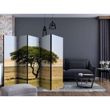  Paravan u 5 dijelova - Etosha National Park Namibia II [Room Dividers] 225x172 | shoptok.hr