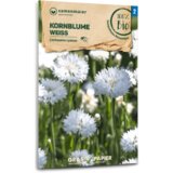 Samen Maier Bio modri glavinec "bela" | Shoptok.si