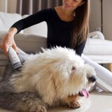 TESLA Electronics PetCare - Set za negu krzna kućnih ljubimaca 300W/230V | Eponuda.com