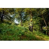 Metabo FSB 36-18 LTX BL 40 Baterijski | shoptok.hr