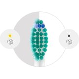 Philips ZAMJENSKE GLAVE ČETKICE ZA ZUBE HX6018/87, (8720689036788) | shoptok.hr