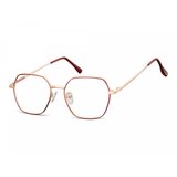 Berkeley Naočare 911F | ePonuda.com