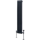 Monster tradicionalni radiator z 2 stolpcema - 1500 x 202 mm - antracitno siva, (21569798) Cene