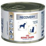 Royal Canin Recovery Cat/Dog konzerva 195 g | Shoptok.si