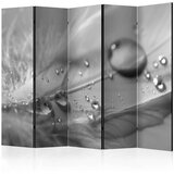  Paravan u 5 dijelova - Grey Feather II [Room Dividers] 225x172 | shoptok.hr