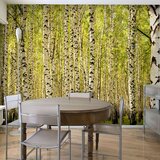  Tapeta - Birch forest 200x154 Cijene