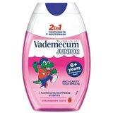 Vademecum pasta 2in1 junior strawberry 75ml Cene