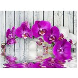  Tapeta - Violet orchids with water reflexion 200x154 | shoptok.hr