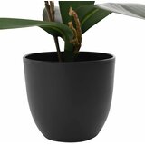  Umjetna orhideja Ružičasta 36 x 10 x 30 cm Tkanina, PE i PEVA | shoptok.hr