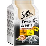  Varčno pakiranje Sheba Fresh & Fine vrečke 72 x 50 g - Piščanec & puran v omaki | shoptok.hr