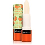 IDC INSTITUTE Skin Food balzam za usne nijansa Mango 3.5 g Cijene